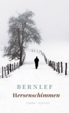 Bernlef - Hersenschimmen