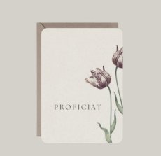 Proficiat - 100086
