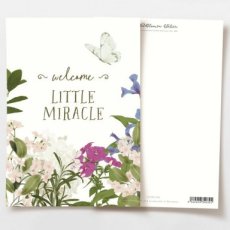 Welcome little miracle