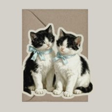 A purrfect card (dubbele kaart) - 100098