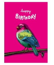 Kairo - Happy Birthday