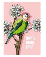 Tabini - Happy Birthday