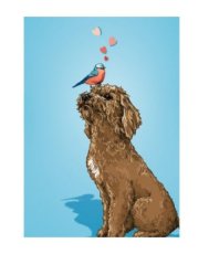 Stavo - Liefde, vriendschap, zomaar