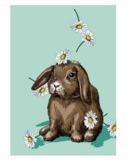 Janku - Pasen, zomaar, allerlei