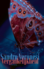 9789044661941 Veronesi, Sandro - Vergankelijkheid