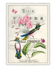 Sweet memories: Bloemen met kolibries