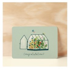 IL0033 Congratulations! - IL0033