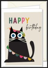 Happy Birthday - Kat met slinger